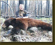 BC Bear Hunts