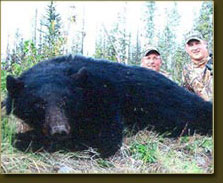 Guided Bear Hunts BC